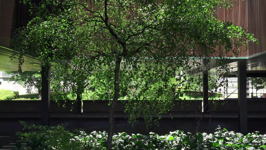 20 05 20 Arbre Seujet export